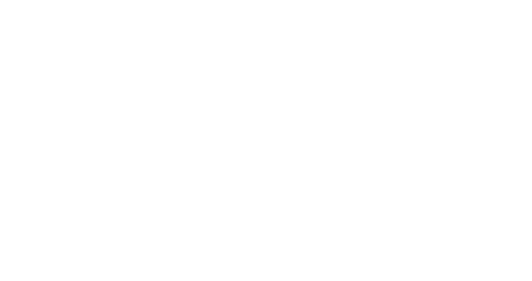 BlizzardLED LLC logo