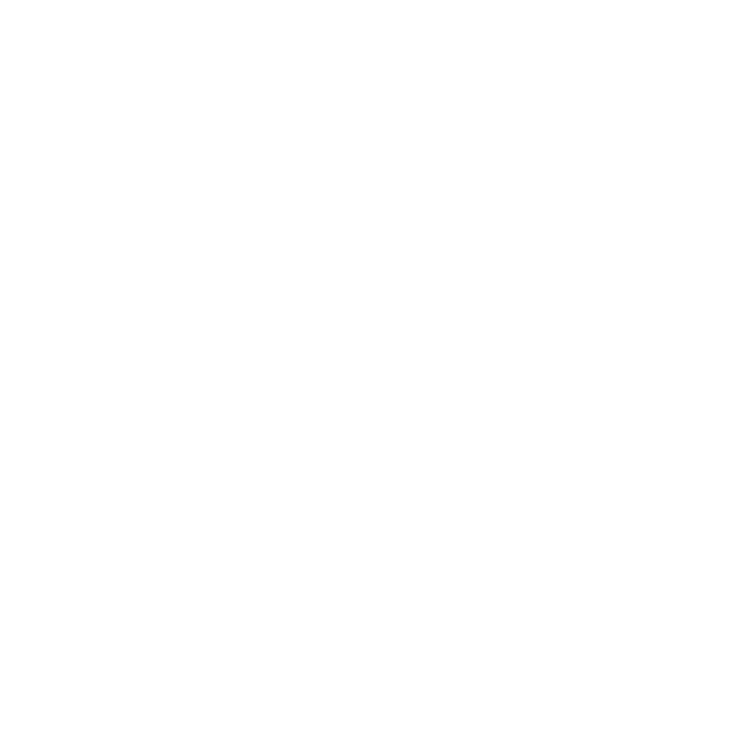 VIX Protection logo