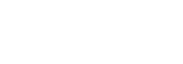LNT Service logo