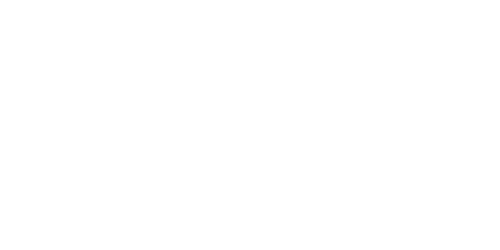 Visual Detection Systems logo
