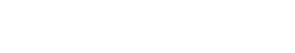 Paramold Manufacturing LLC logo