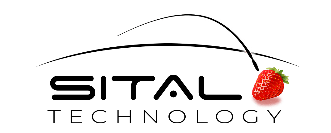 Sital Technology logo