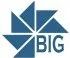 Benchmark Imaging Group logo