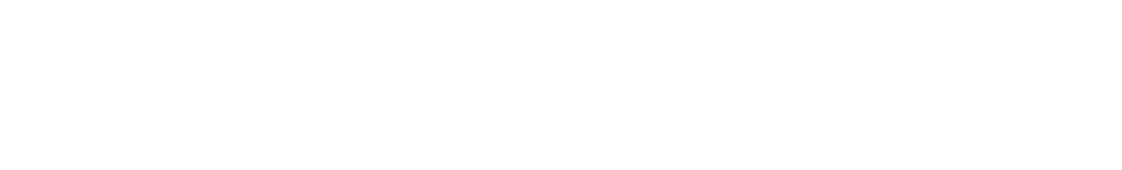 Armina Stone logo