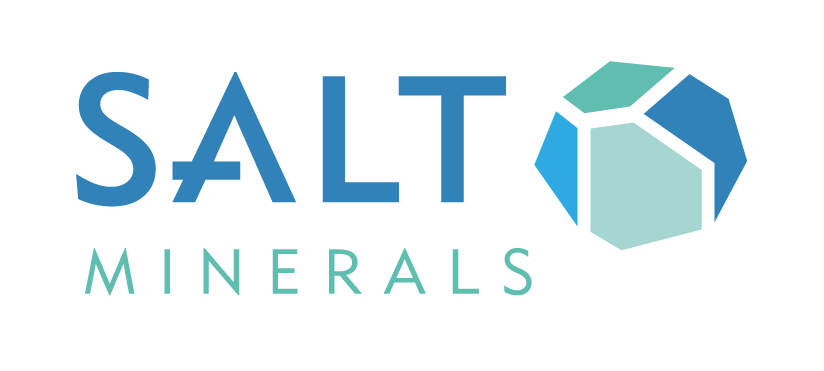 SALT Minerals GmbH logo