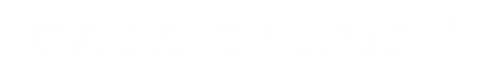 Casa Carmen Wines logo
