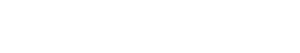 Precision Polish, LLC logo