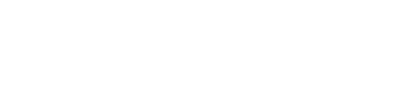 Biewer Lumber logo