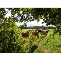 Butterfield Farm logo