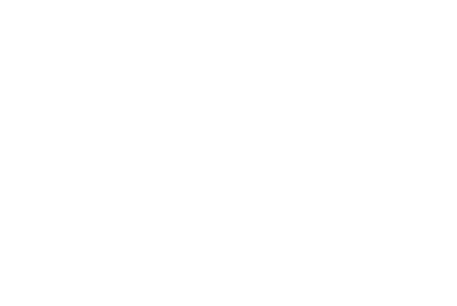 New Buffalo Shirt Factory logo