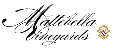 Mattebella Vineyards logo