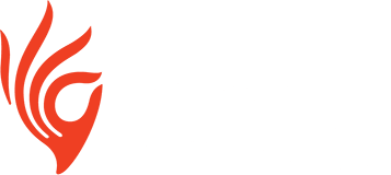 Piramal Critical Care logo