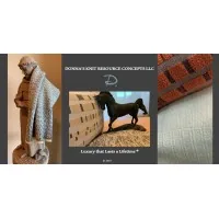 Donna's Knit Resource Concepts, LLC logo