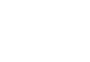 Zero Tolerance Guns logo
