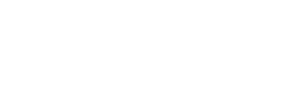 SecureIt Weapon Storage logo