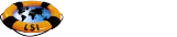 Life Support International (LSI) logo