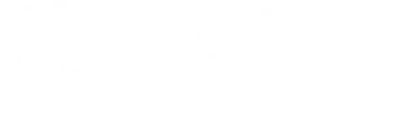 Radenso Labs logo