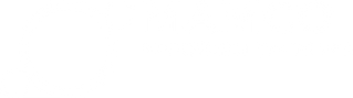 MAMCO Precision Switches logo