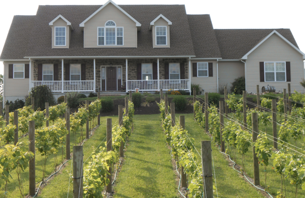 Aulenbach Wines logo