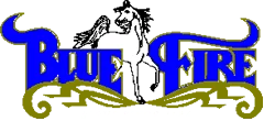 Blue Fire Signs logo