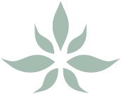 The Cannabist Company logo