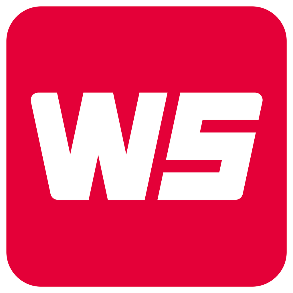 WS Wärmeprozesstechnik GmbH logo