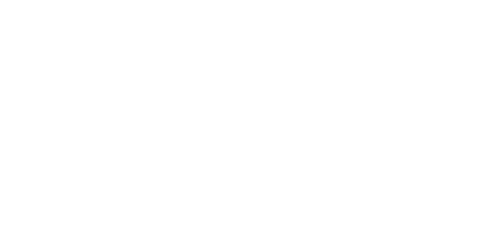 SPEED Group logo