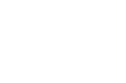 Mini Graphics, Inc logo