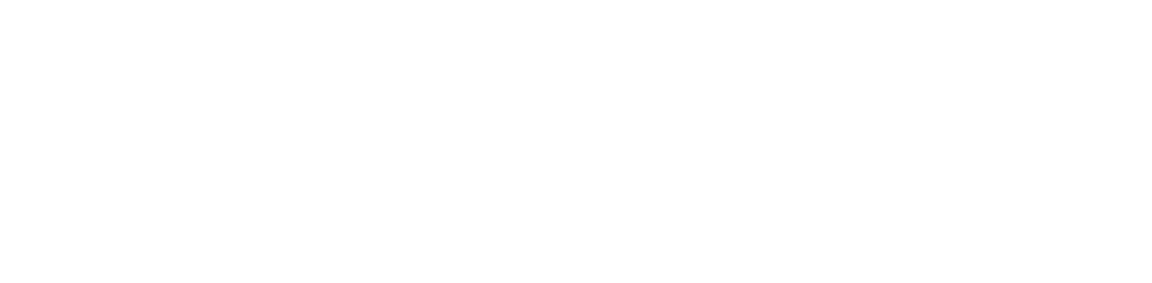 Accipiter Radar logo