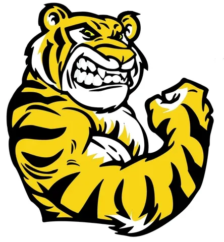 Tiger Mirror Corporation logo