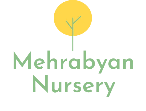 Mehrabyan Nursery logo