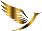 Intekneia Inc logo