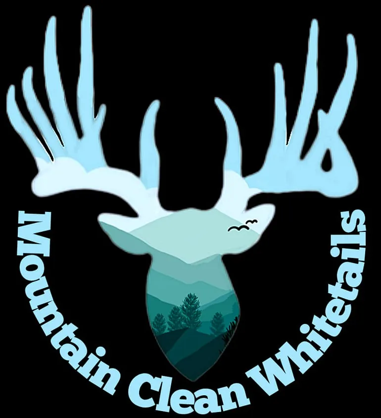 Mountain Clean LLC logo