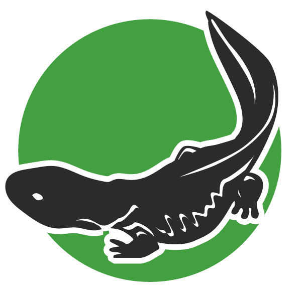 Hellbender Marketing logo