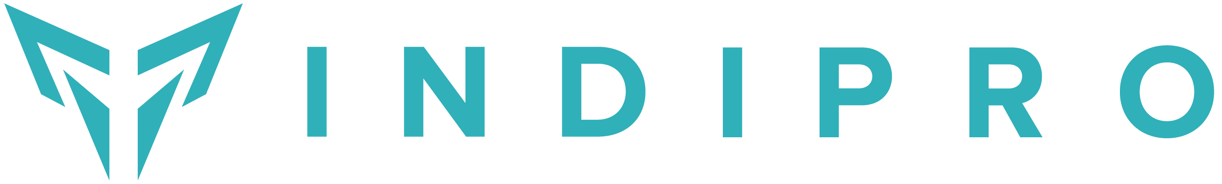 Indipro Tools logo