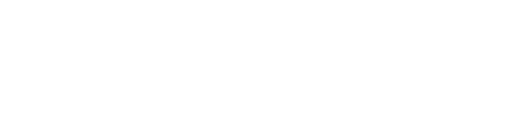BWI Eagle logo