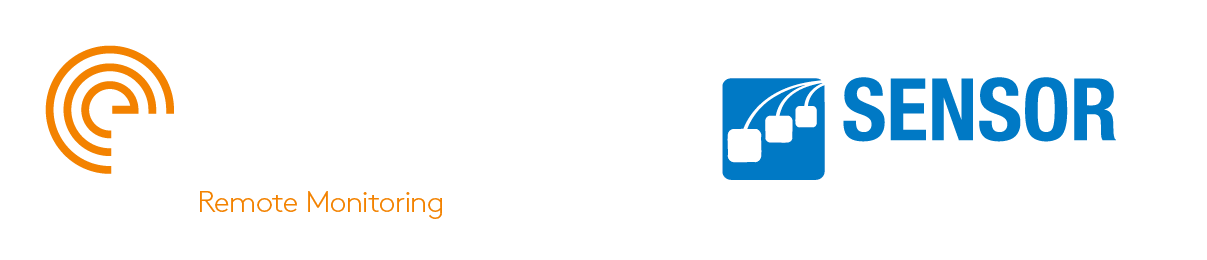Sensor Networks, Inc logo