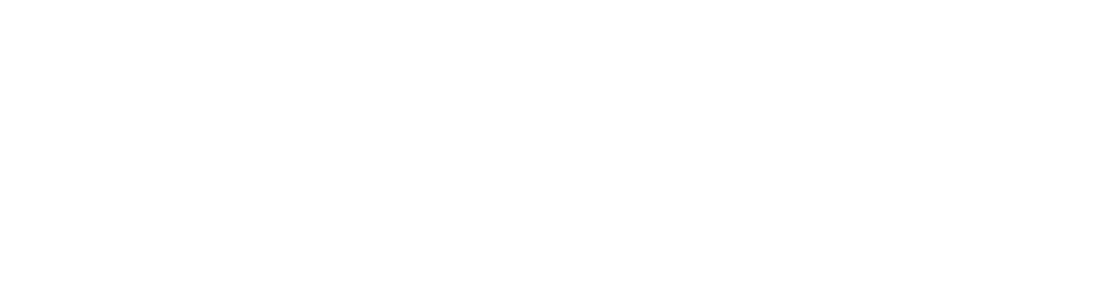 Primet Lab logo