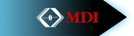 MicroDISC, Inc logo