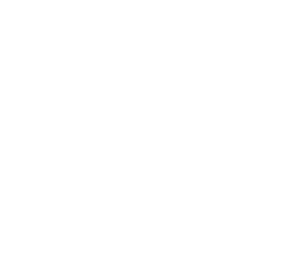 Bouvery CV logo