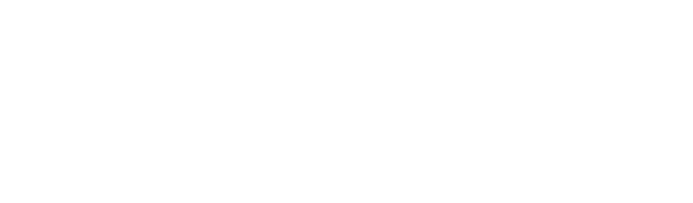 Perry Prosthetics logo