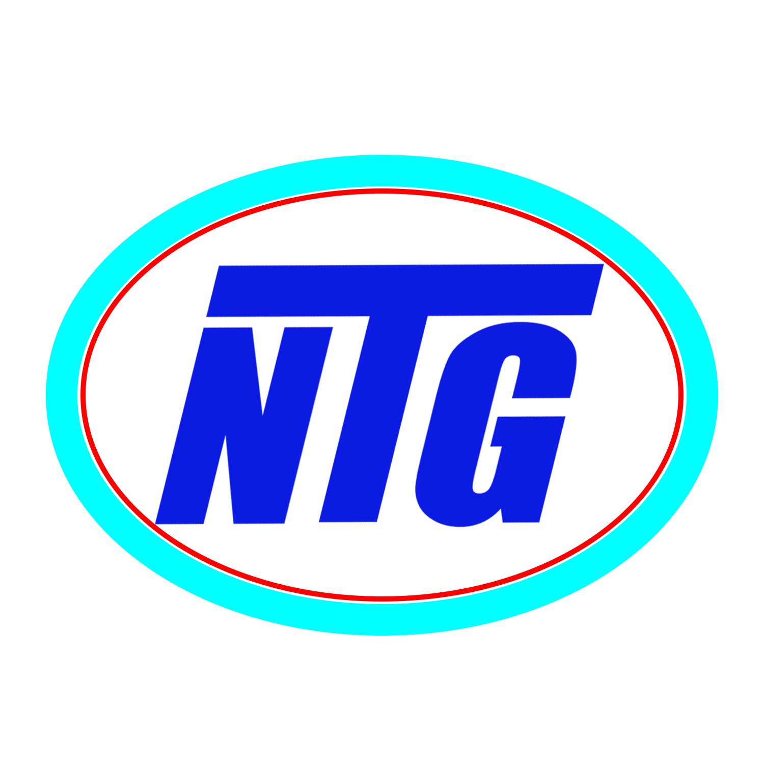 Northern Tool & Gage logo