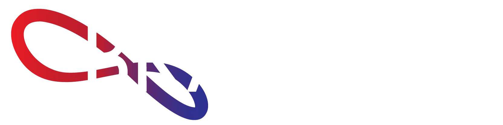 Bravura Information Technology Systems, Inc logo