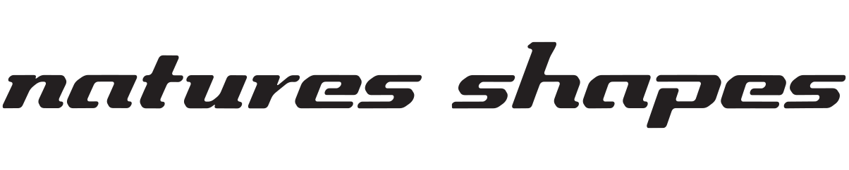 Natures Shapes Surfboards logo