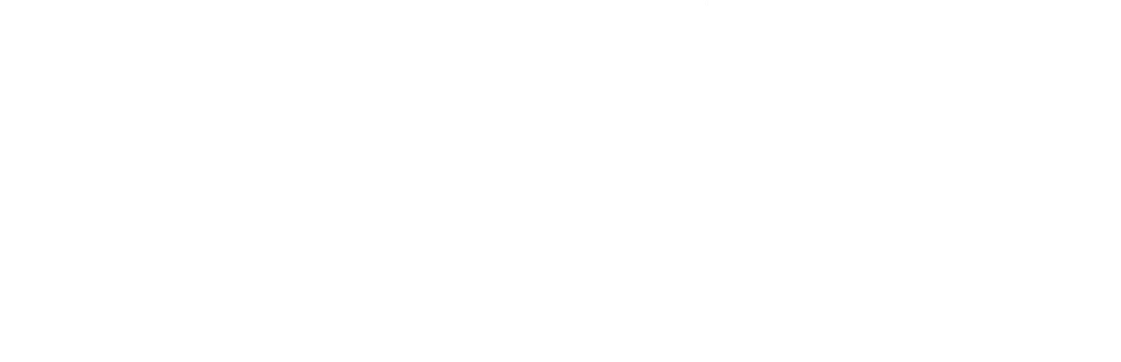 Envalior logo