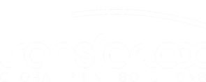 Transfertex Print Solutions GmbH & Co. KG logo