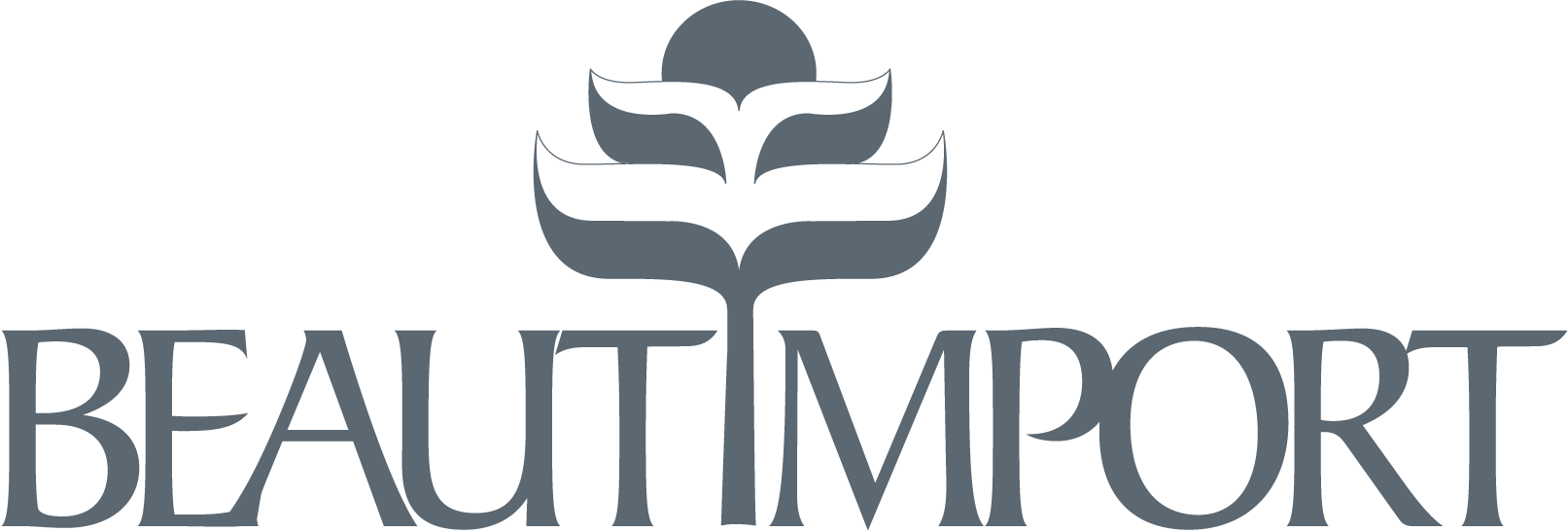 Beautimport S.r.l logo
