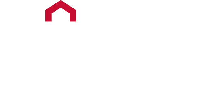 StabiliForce logo