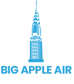 Big Apple Air logo