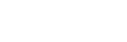 Dorfman Museum Figures, Inc logo
